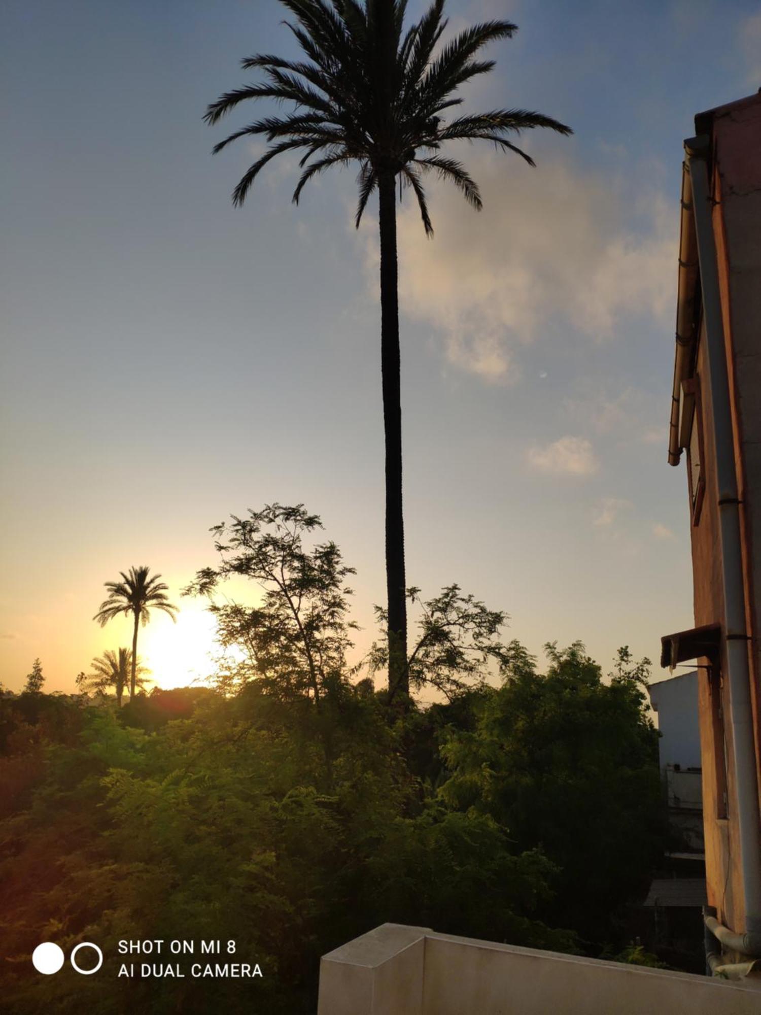 Apartamento En Alicante La Casa Azul Santa Faz 外观 照片
